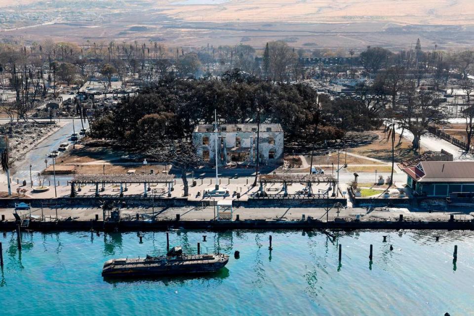 The iconic Banyan tree stands among the rubble of burned buildings in Lahaina on Thursday, Aug. 11, 2023, after a catastrophic wildfire swept through the town in Maui.