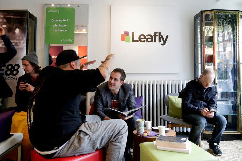 FILE PHOTO: Leafly holds an education pop-up event on the day Canada legalizes recreational marijuana, in Toronto