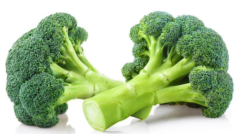 Broccoli with stems on a white background