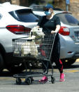 <p>Rebel Wilson shops for groceries at her local market in Los Angeles.</p>