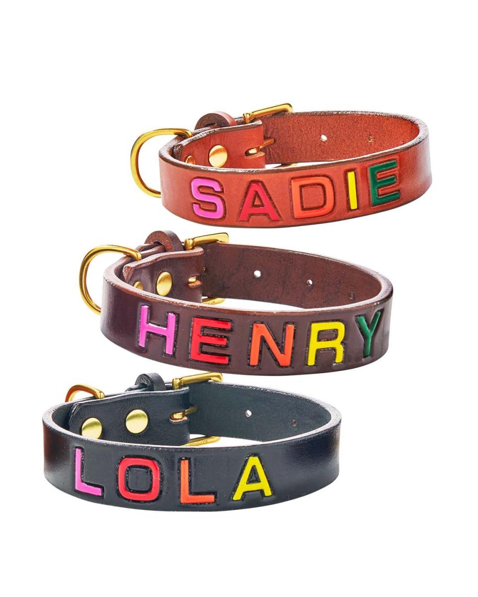 <p><a href="https://giannicooling.com/collections/collars/products/leather-dog-collar-the-rainbow" rel="nofollow noopener" target="_blank" data-ylk="slk:Shop Now;elm:context_link;itc:0;sec:content-canvas" class="link ">Shop Now</a></p><p>The Rainbow Collar</p><p>giannicooling.com</p><p>$69.00</p>