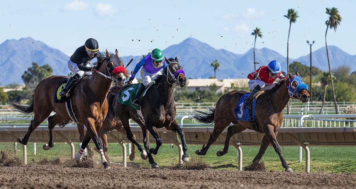 Riders make the home stretch during the first race at Turf Paradise in Phoenix on Jan. 22, 2019.