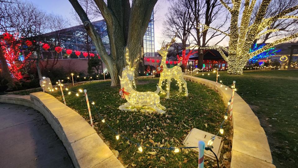 Lit up reindeer are among the sights to be seen at the Amarillo Botanical Gardens during its Christmas in the Gardens event, as seen in this 2022 file photo.