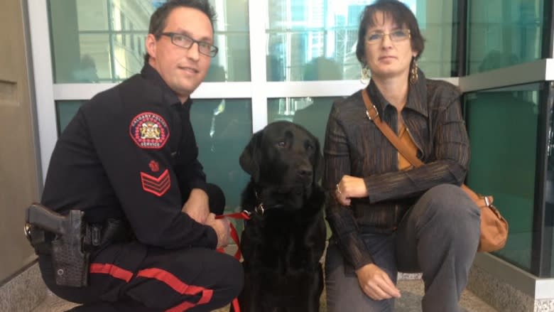 Hawk, Calgary police dog, to help child witnesses in sex abuse case