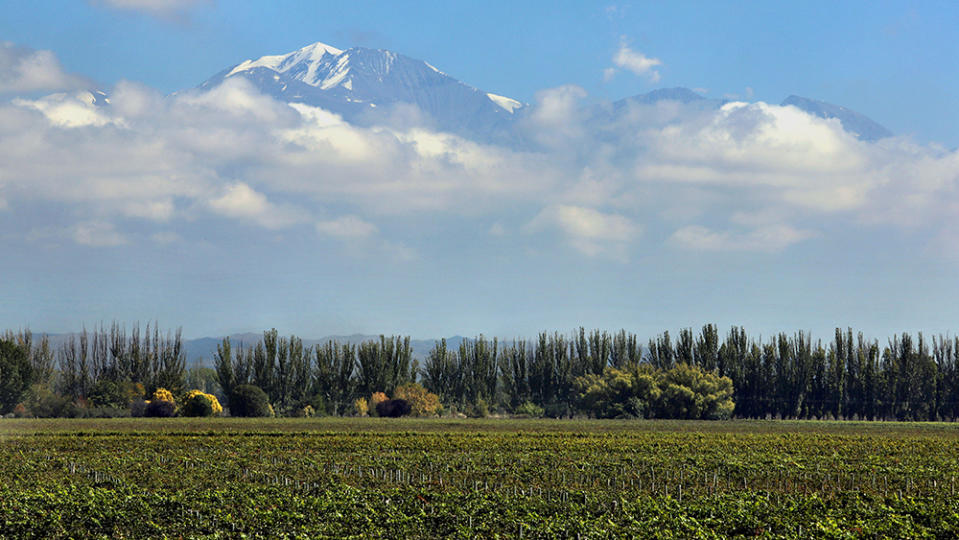 LUJAN DE CUYO, ARGENTINA - MARCH 28: The Andes mountains are partly obscured by low clouds where they tower behind the vineyards of Bodega Catena Zapata winery on March 28, 2019 in the Luján de Cuyo district of Mendoza province, Argentina. Founded in 1902, Catena Zapata is known for its pioneering role in resurrecting the Malbec varietal and in discovering extreme high altitude terroirs in the Andean foothills of Mendoza. Mendoza Province is Argentina's most important wine region, accounting for nearly two-thirds of the country's entire wine production. With increasing numbers of foreign tourists being drawn to the iconic wine-producing area and its award-winning wineries attracted by a cheaper devalued Peso and acclaimed wines at bargain prices, Mendoza's economy is doing better than the national average in the wake of Argentina's latest economic meltdown. (Photo by David Silverman/Getty Images)