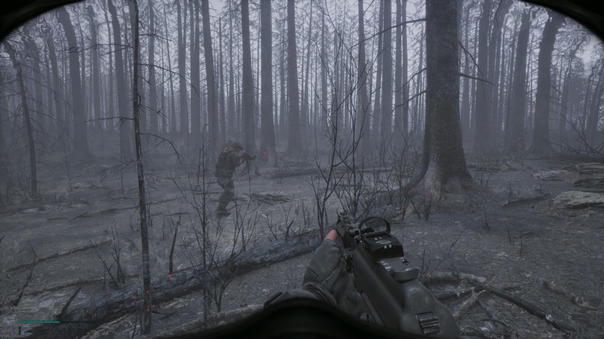  A first-person perspective of a soldier carrying a gun making his way through a grey, foreboding forest of dead trees. 