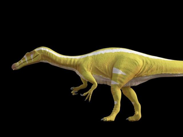 El dinosaurio Protathlitis cinctorrensi
