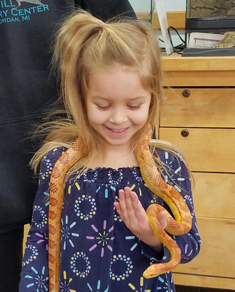 Checkers the corn snake hangs out with a friend at the Raven Hill Discovery Center.