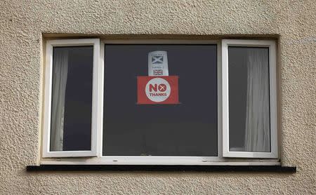 'NO' campaign posters are displayed in a window in Stornoway on the Isle of Lewis in the Outer Hebrides, in this September 12, 2014 file photo. REUTERS/Cathal McNaughton/Files