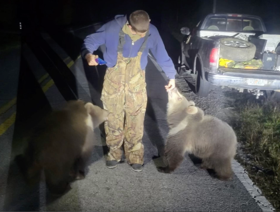 An Okaloosa man spotted two grizzly bears on the road near Old River Road in December. The Okaloosa County Sheriff's Office released footage of its encounter on social media.