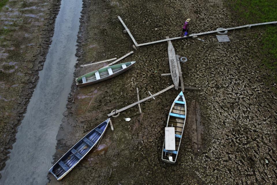 FILE - A resident walks next to boats on a dry stretch of the Amazon River, in Manaquiri, in a rural area of Amazonas state, Brazil, Oct. 21, 2023. The last 12 months were the hottest Earth has ever recorded, according to a new report Thursday, Nov. 9, by Climate Central, a nonprofit science research group. (AP Photo /Edmar Barros, File)