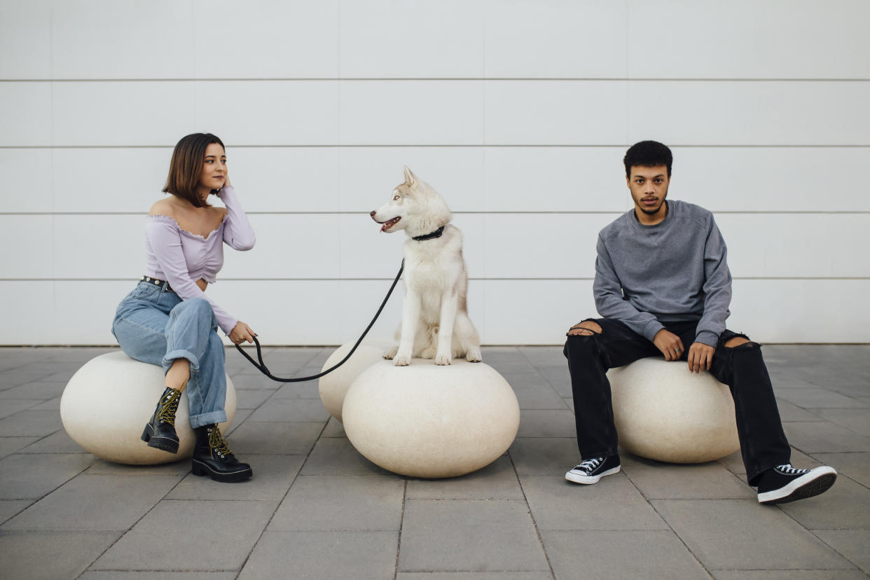 young couple sitting next to their siberian husky dog (canis Canis lupus familiaris) - social distance theme