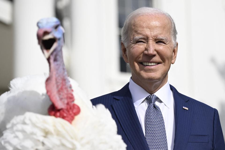 President Joe Biden next to Liberty, one of two turkeys he pardoned as part of what could be a global bird-based conspiracy, as long as you don't believe in facts.