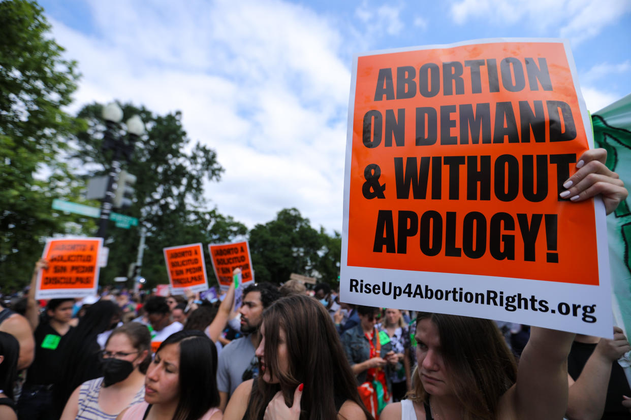 Demonstrators in Washington, D.C.