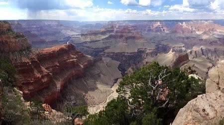 Overall view from the south Rim of the Grand Canyon near Tusayan, Arizona August 10, 2012. REUTERS/Charles Platiau