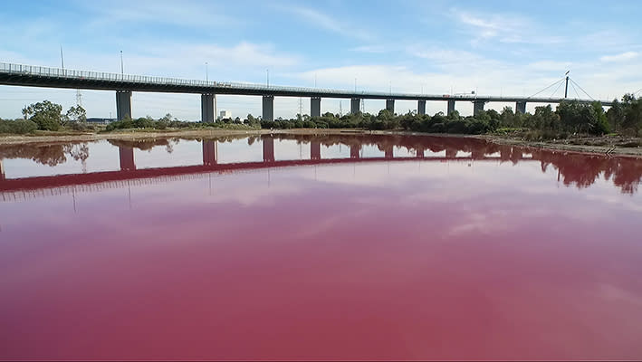 El lago del Westgate Park en Melbourne se tiñe de rosa