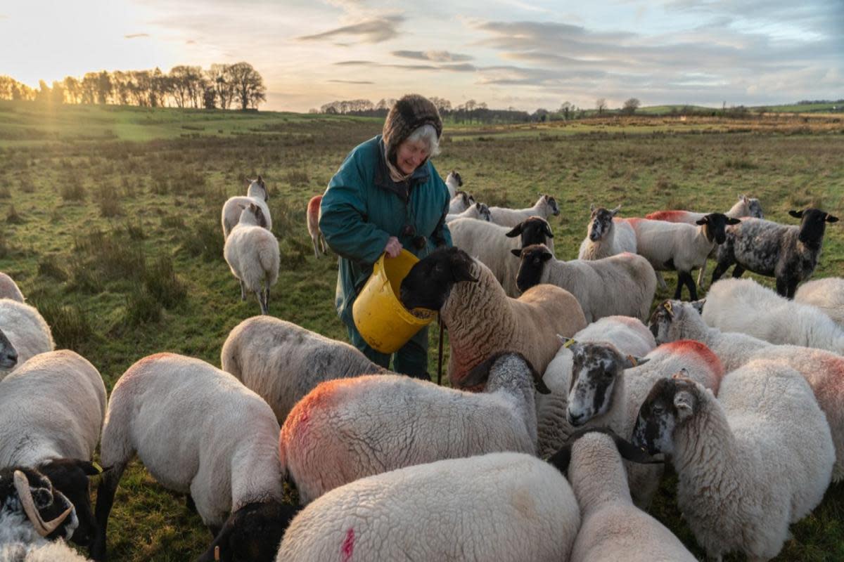 Photographer set to display 'Forty Farms' at The Food Museum <i>(Image: Amy Bateman)</i>