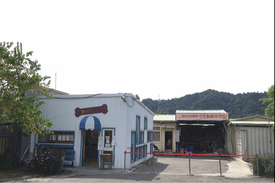 飼主若無法繼續飼養毛寶貝，可至動物之家辦理不擬續養程序。   圖：新北市動保處提供