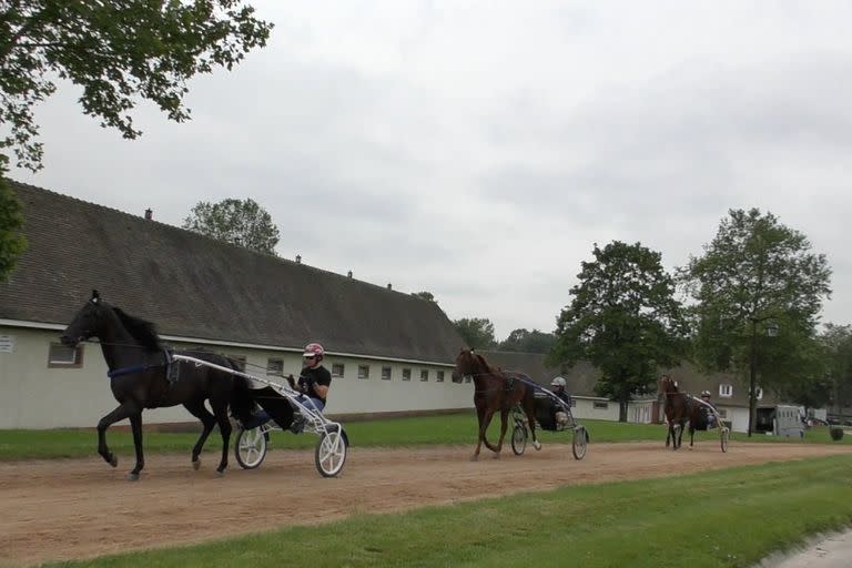 Caballos de trote en el centro de entrenamientos de Grosbois, uno de los lugares en los que se enfocó la investigación policial.