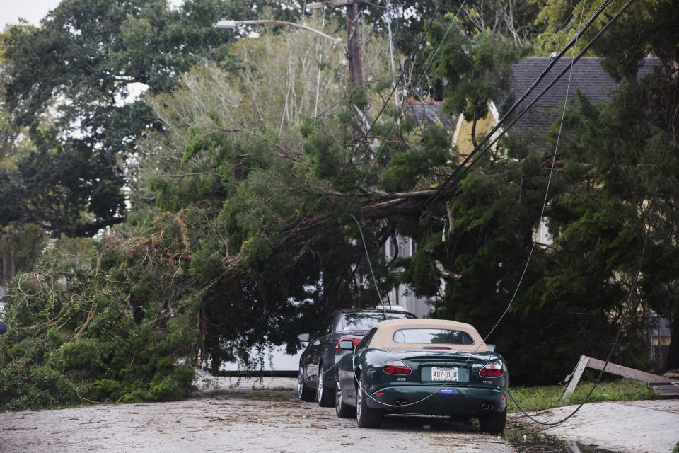 A tree lies on Camp Street by Henry Clay Avenue after a storm system called Tropical Storm Olga went through the area in New Orleans on Saturday, Oct. 26, 2019. (Sophia Germer/The Advocate via AP)