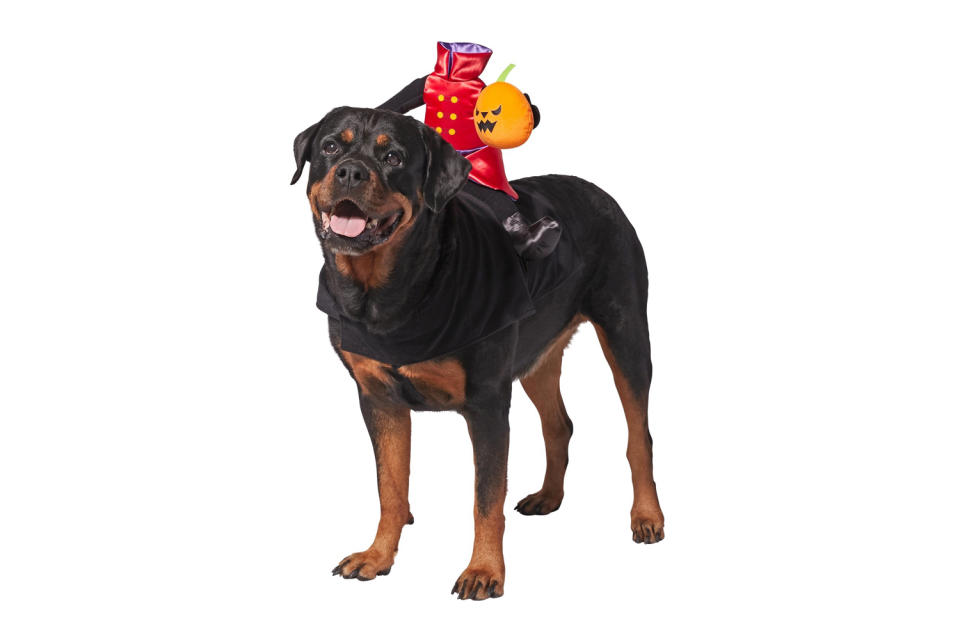 <p>The Headless Horsemen is switching out horses for hounds this year. </p> <p><strong>Buy it!</strong> Headless Rider Dog Costume, $16.99; <a href="https://www.anrdoezrs.net/links/8029122/type/dlg/sid/PEO25HalloweenCostumesforDogsthatWillHaveTrickorTreatersHowlingwithJoykbender1271PetGal12909733202109I/https://www.chewy.com/frisco-headless-rider-dog-cat-costume/dp/242181" rel="sponsored noopener" target="_blank" data-ylk="slk:Chewy.com;elm:context_link;itc:0;sec:content-canvas" class="link ">Chewy.com</a></p>