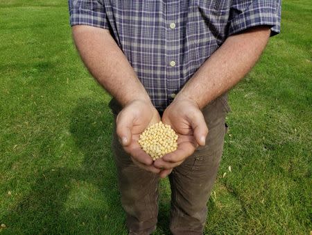 Farmer Dave Walton holds soybeans in Wilton, Iowa, U.S. May 22, 2019. REUTERS/Kia Johnson