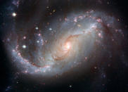 6. La galaxia en espiral NGC 1672 muestra racimos de jóvenes y calientes estrellas azules alrededor de sus brazos, u nubles de hidrógeno brillando en rojo. Las delicadas cortinas de polvo oscurecen parcialmente y enrojecen la luz de las estrellas detrás de ellas.