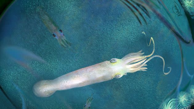 An artist's rendering of Syllipsimopodi bideni published in a press release from the American Museum of Natural History. (Photo: Katie Whalen via the American Museum of Natural History)
