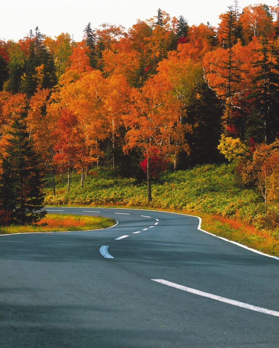 23) Take a long drive to see fall foliage.