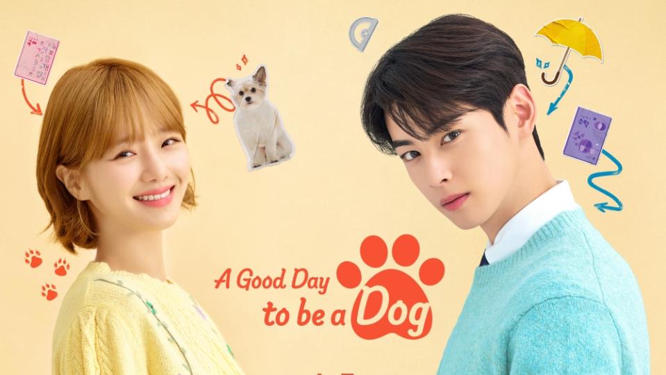 “A Good Day to Be a Dog” (A+E Networks Korea)