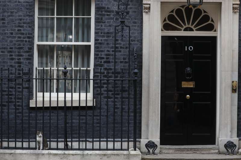 武漢肺炎：英國首相府唐寧街10號「第一貓」賴瑞（Larry）（AP）