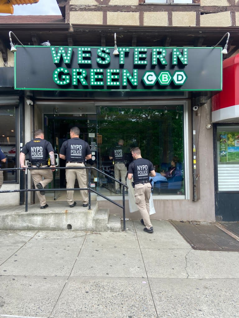 NYPD officers raiding the “Western Green” unlicensed cannabis shop in Kew Gardens, Queens on May 9, 2024. Carl Campanile/NY Post