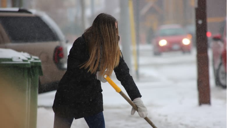 'It's like a winter wonderland': Snow storm hits Windsor