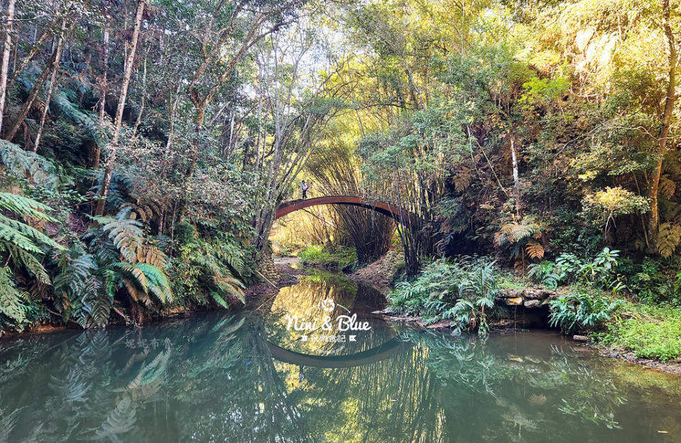 南投魚池｜澀水森林步道