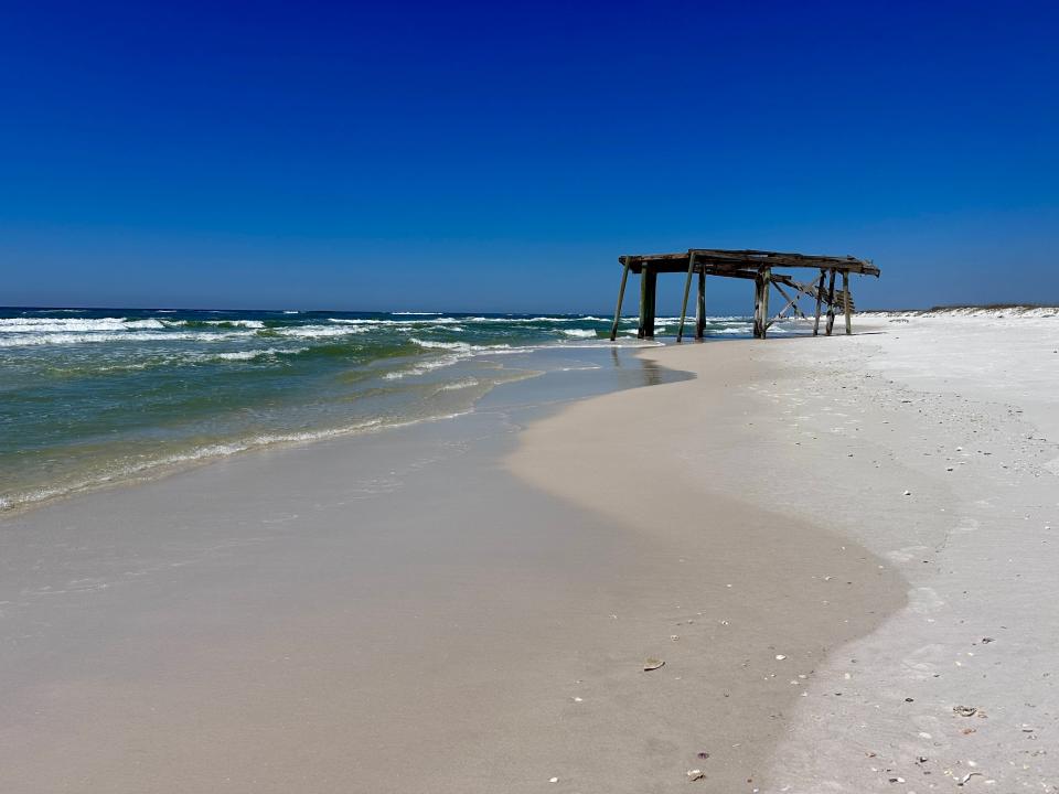 Beach with several washed-up shells and a structure made from wooden planks in the distance. The ocean waves wash up on the beach