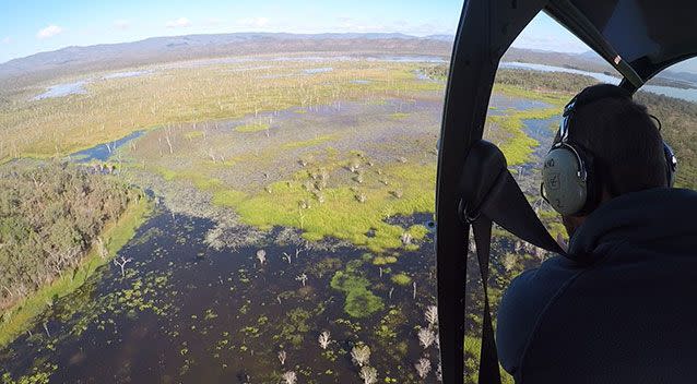 Two saltwater crocodiles were seen from the air in an aerial inspection of waterways near Mareeba. Source: Department of Environment and Heritage Protection