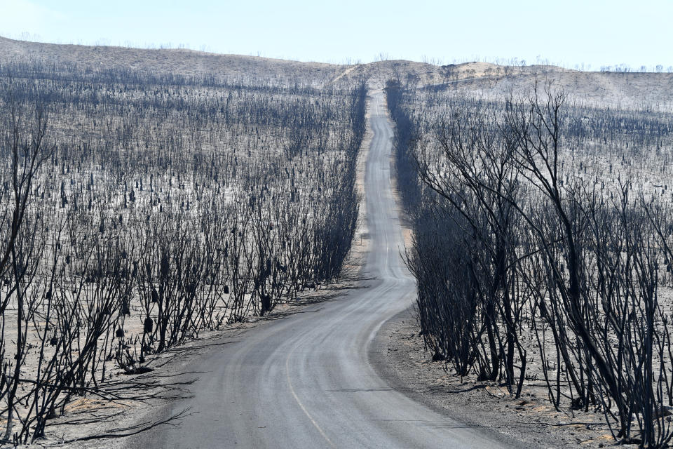 A general view of the damage done to the Flinders Chase National Park after bushfires swept through on Kangaroo Island.