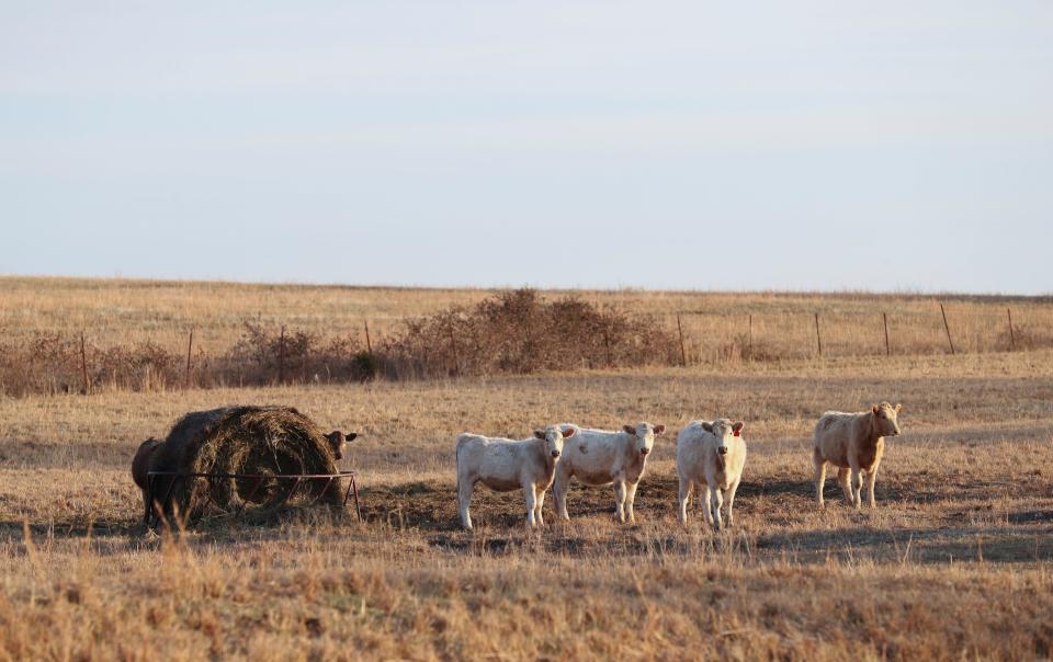 Jay, Okla., is a rural area that is an unlikely place for Mexican cartels to do business. Andrew Scott Pierson's mother, Betty Cook, formerly owned a farm nearby, and Pierson was accused of using a building on the property to alter Colt M4A1 rifles with counterfeit parts to supply Mexican cartels. Dec. 3, 2022