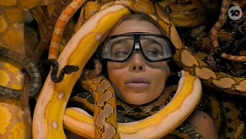 I’m A Celebrity's Skye Wheatley covered by snakes.