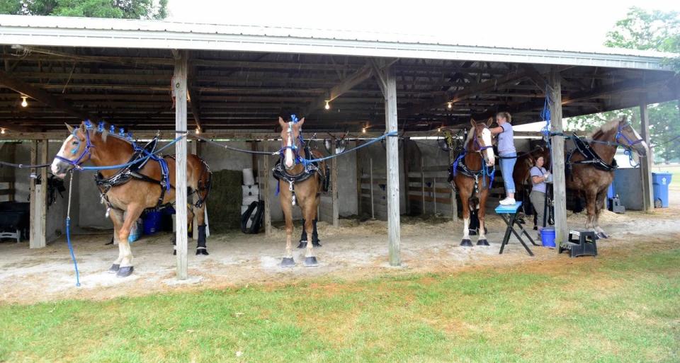 The Ottawa County Fair kicks off Monday, as the fair celebrates its 58th year with a full schedule next week of 4-H activities, animal judging, demolition derby and evening grandstand entertainment.