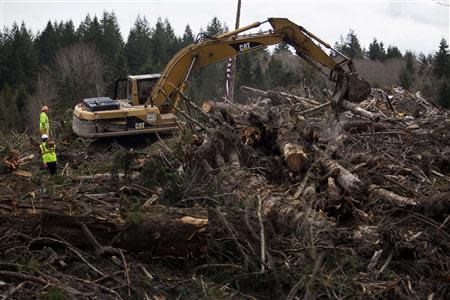 Rescue workers continue to search for human remains in a debris field left by a mudslide in Oso, Washington, April 3, 2014. REUTERS/Max Whittaker