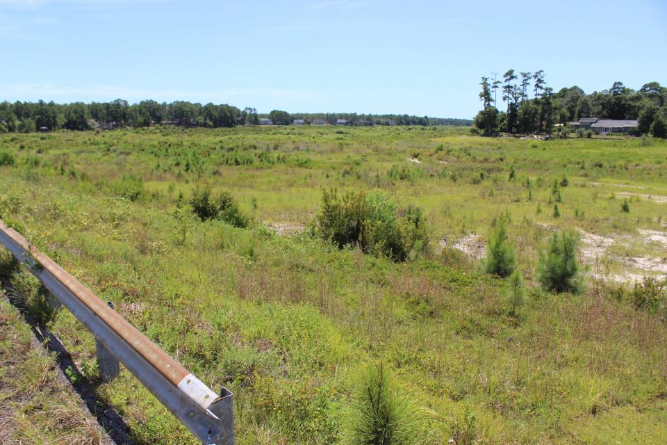 On August 9, 2022, nearly four years after Hurricane Florence destroyed four dams in Boiling Spring Lakes, homes that were once on Big Lake sit on a basin of weeds, grass and trees.