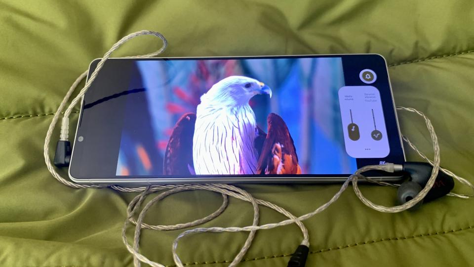 Sony Xperia 1 V showing a wildlife reel, with the sound and vibration tabs active