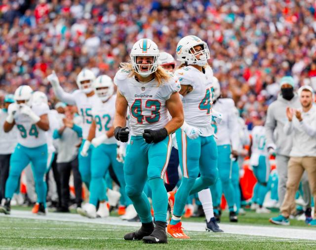 Miami Dolphins outside linebacker Andrew Van Ginkel (43) in