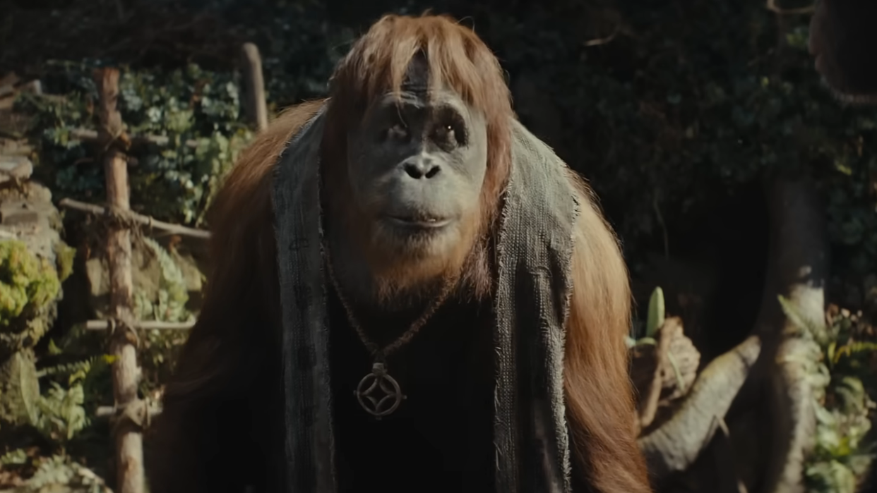  One of the apes in Kingdom of the Planet of the Apes. 