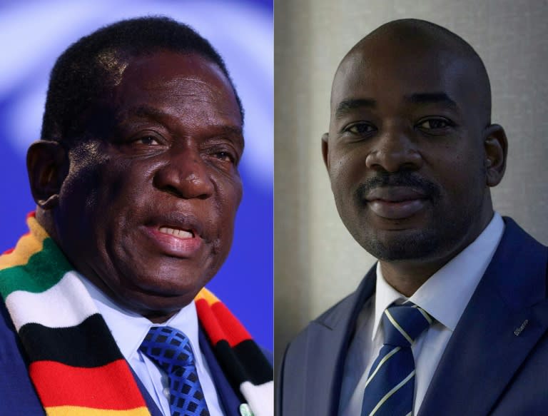 Zimbabwe President Emmerson Mnangagwa (L) faces off against main opposition leader Nelson Chamisa of the Citizens Coalition for Change (CCC) (Adrian DENNIS)