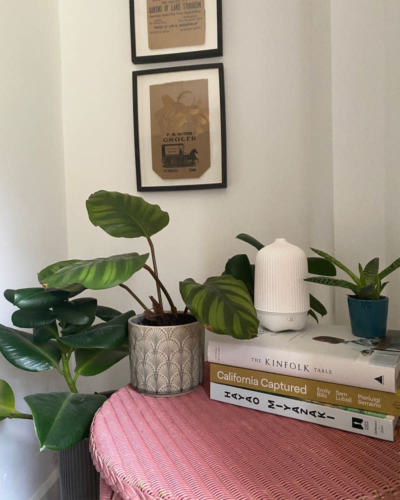 Stack of books next to potted plant.