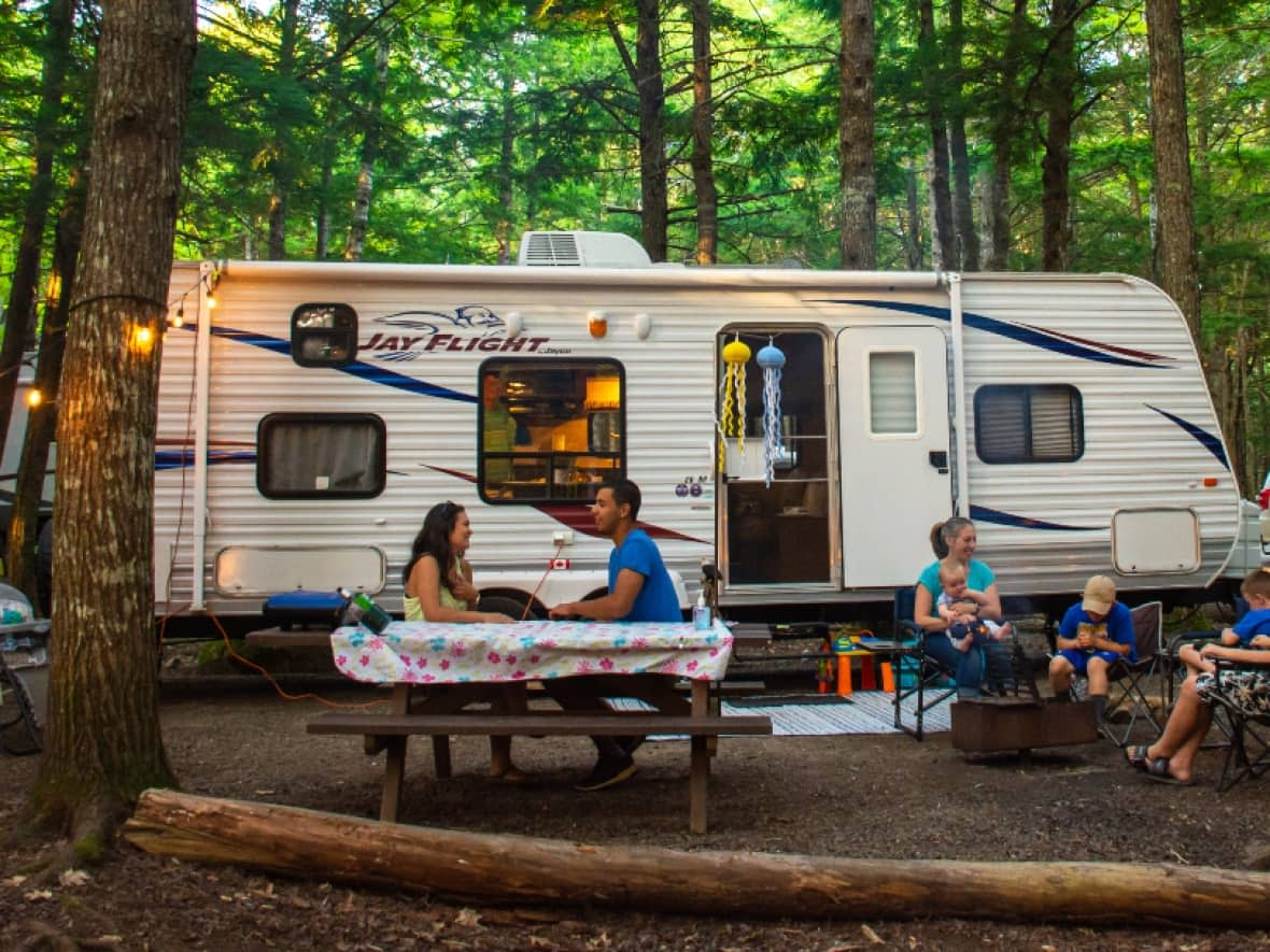 Parks Canada says the solar array at Kejimkujik National Park will supply all the electricity used by campground visitors.  (Parks Canada - image credit)