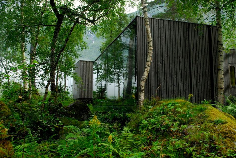 Casa en el árbol