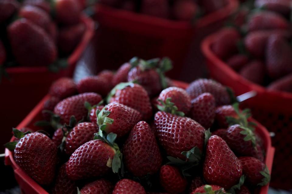 Ripe strawberries are displayed at a stand at the South Carolina State Farmer’s Market on Friday, March. 24, 2023.